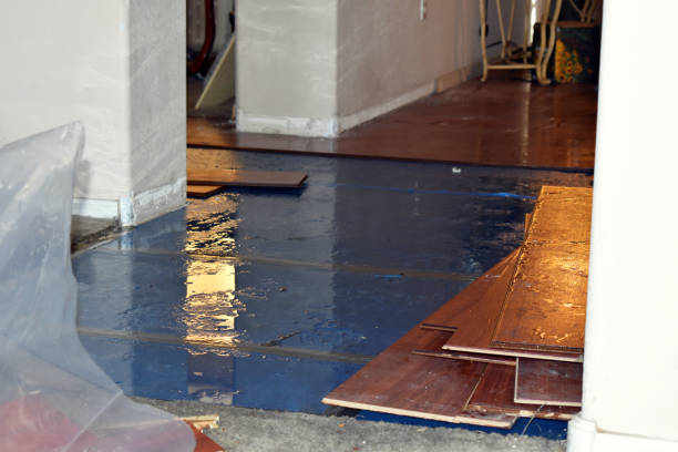 Professional Burst Pipe Cleanup technician working in Metamora, IL